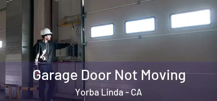  Garage Door Not Moving Yorba Linda - CA